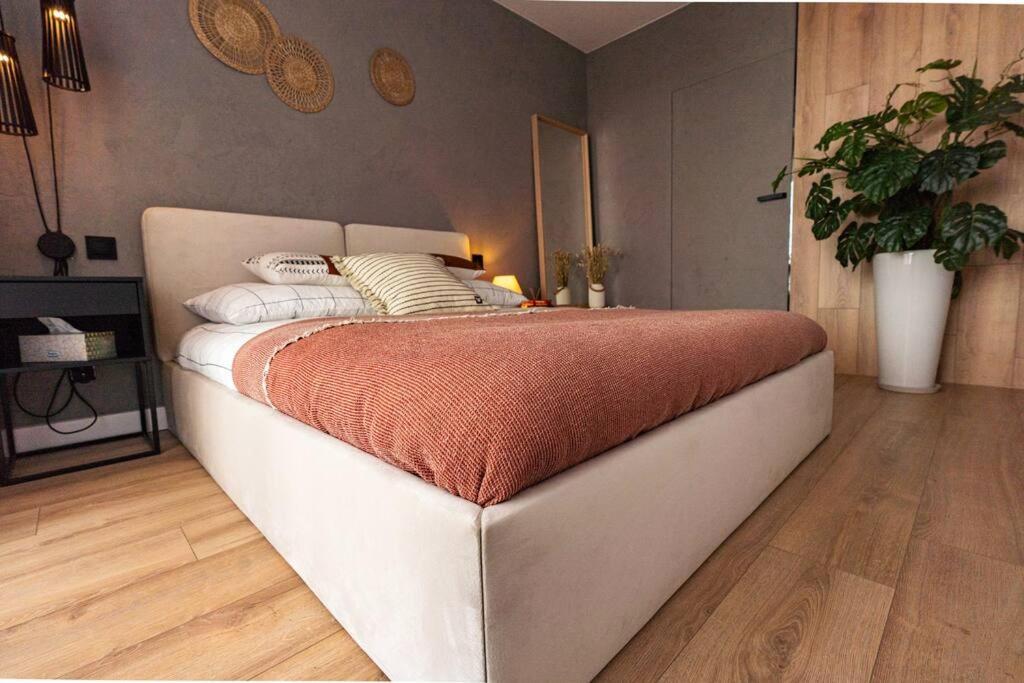 Apartament Na Grabiszynskiej Вроцлав Екстер'єр фото